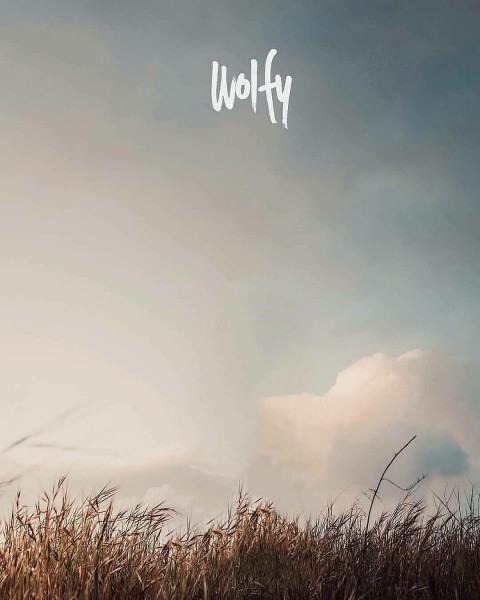 Vijay Mahar Wolfy Background