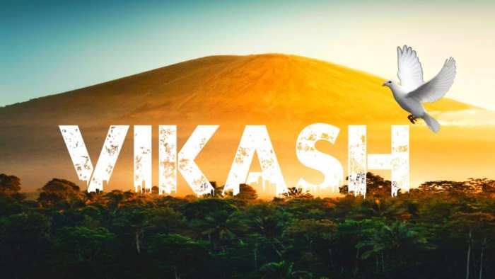 Vikash Urban Jungle Background Free HD Images