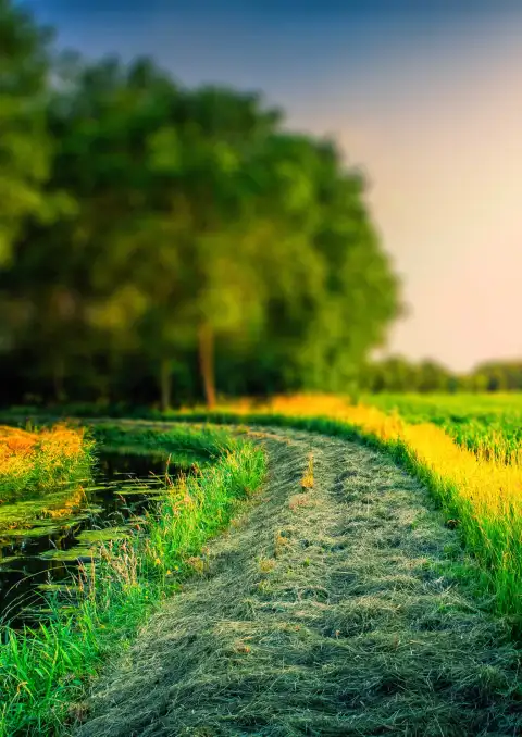 Village Field CB Picsart Editing Background HD Download