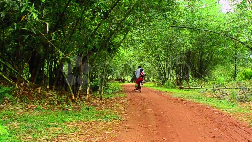 Village Nature Road Background HD Download