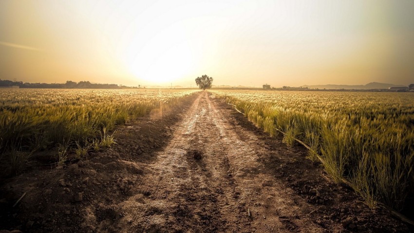 Village Nature Road Background HD Download