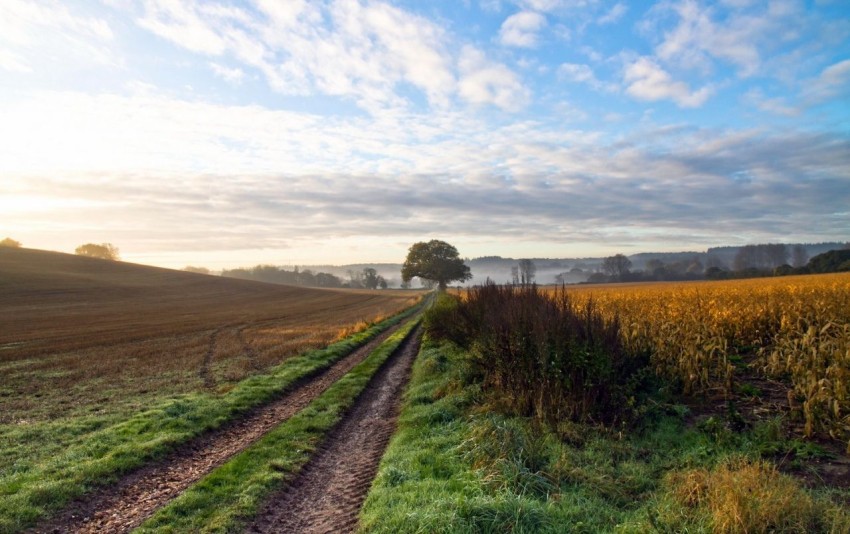 Village Road Background Full HD Photo Image Download