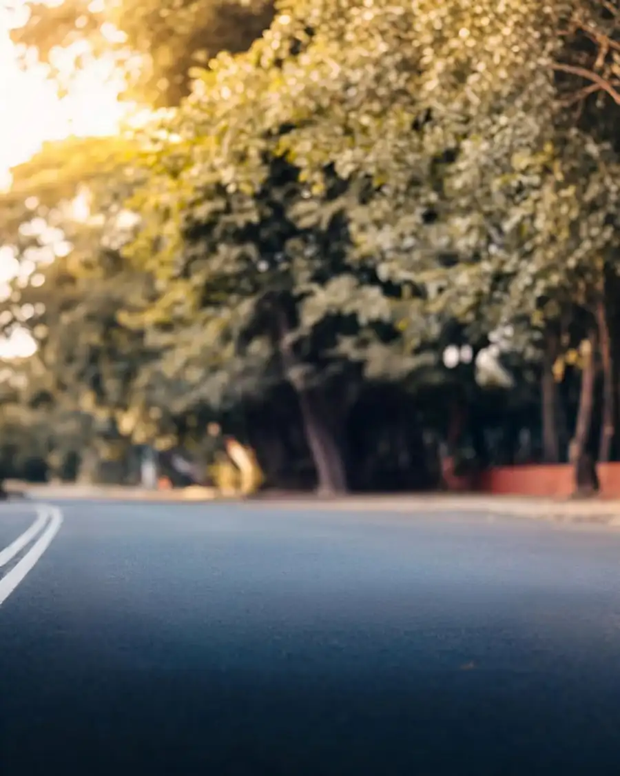 Viral Editing Road With Trees On The Side Background