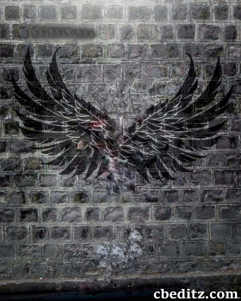 Wall Wing CB Background Download Full hd