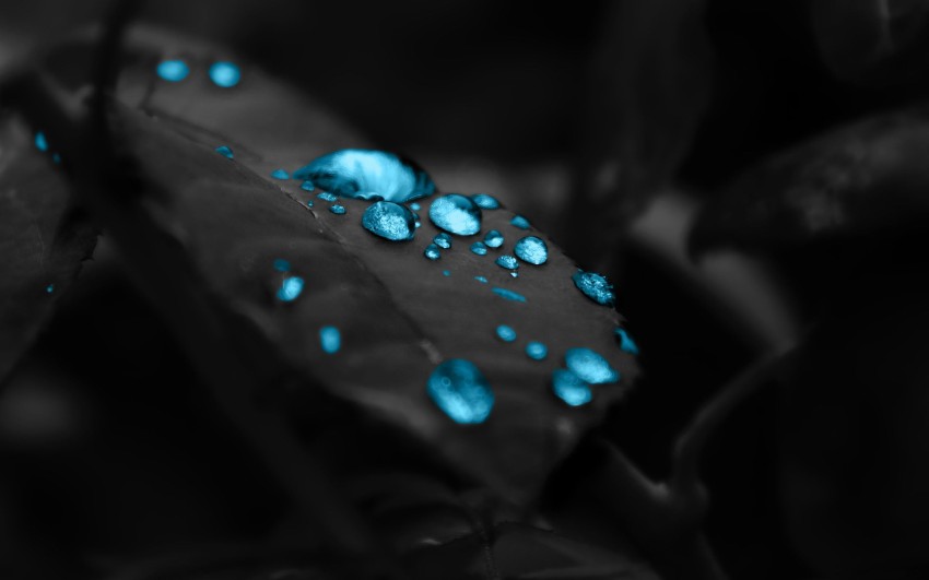 Water Drop Background Image Full HD Download Free