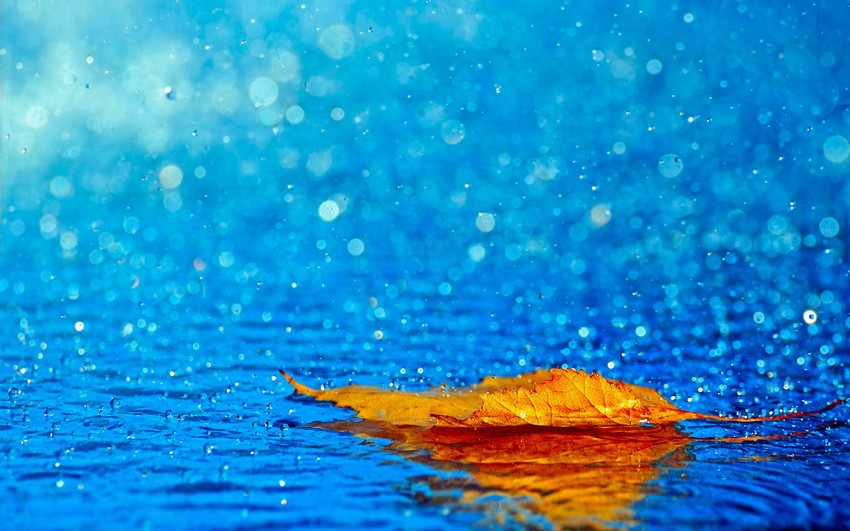 Water Rain HD Background Download Free