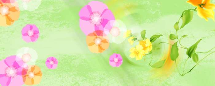 Wedding Album Green Banner Backgrounds HD Wallpapers