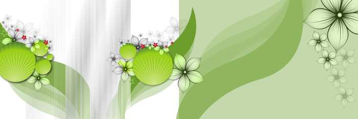 Wedding Album Green White Design Backgrounds HD Wallpapers