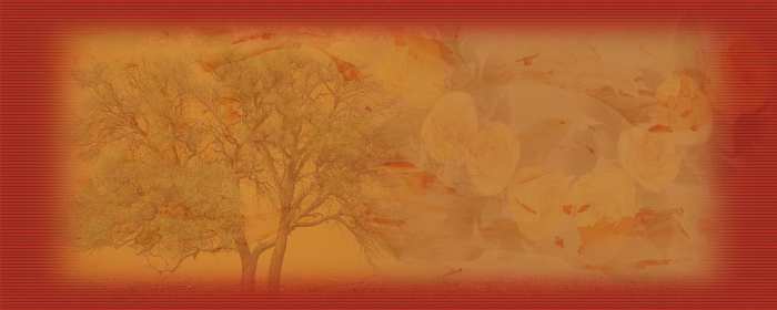 Wedding Album Red Banner Backgrounds HD Wallpapers