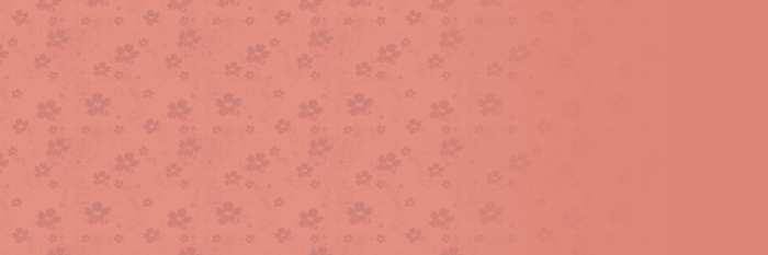 Wedding Flower Design Plain Album Background Free Images