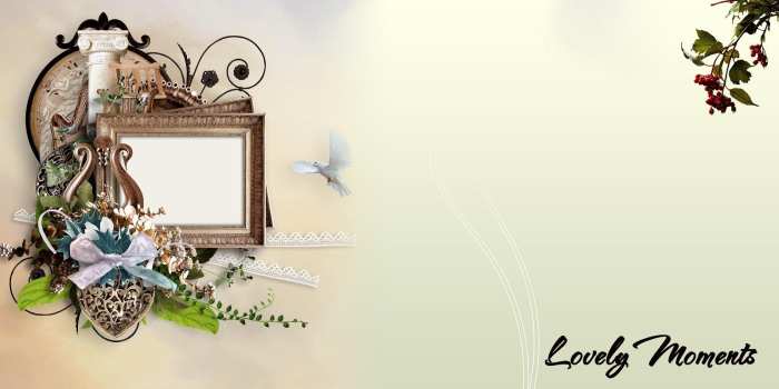 Wedding Marriage Album Frame Image Background HD