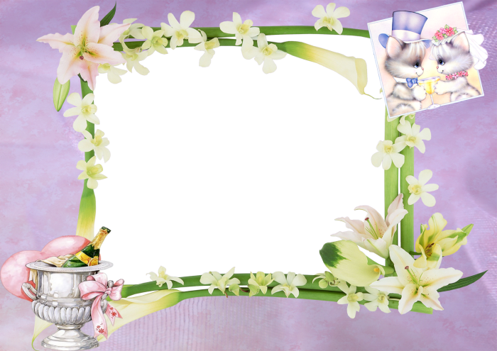 Wedding Marriage Frame Album Background HD