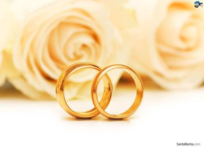 Wedding Marriage Ring HD Background Free Download