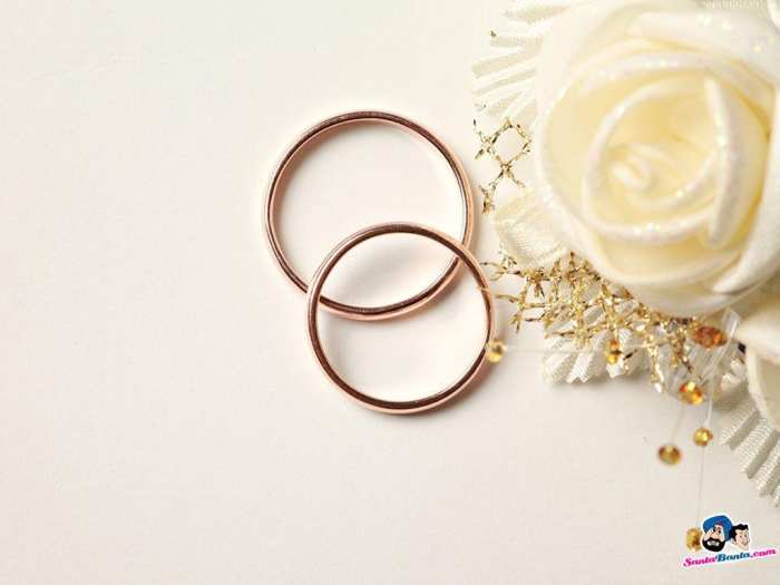 Wedding Marriage Ring HD Background Free Download