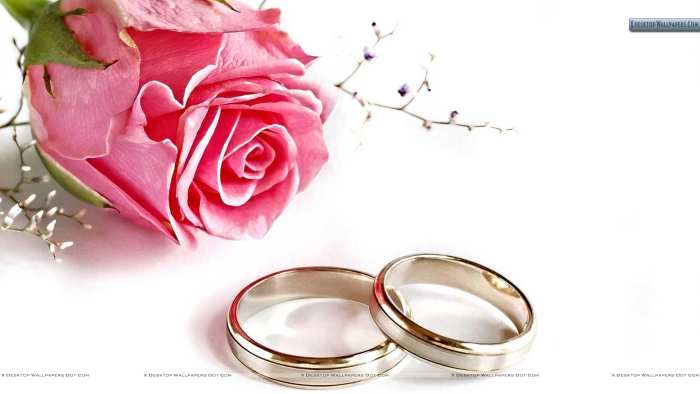 Wedding Marriage Ring HD Background Free Download