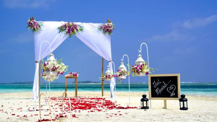 Wedding Marriage Setup Background Free Download