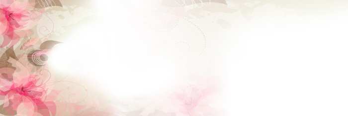 Wedding Marriage White Flower Album Background Free