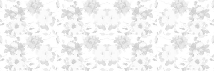 Wedding Marriage White Flower Album Background Free