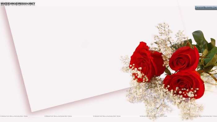 Wedding Red Rose Flower Marriage Background Free Download