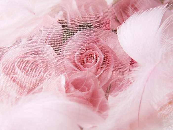 Wedding Rose Flower Marriage Background Free Download