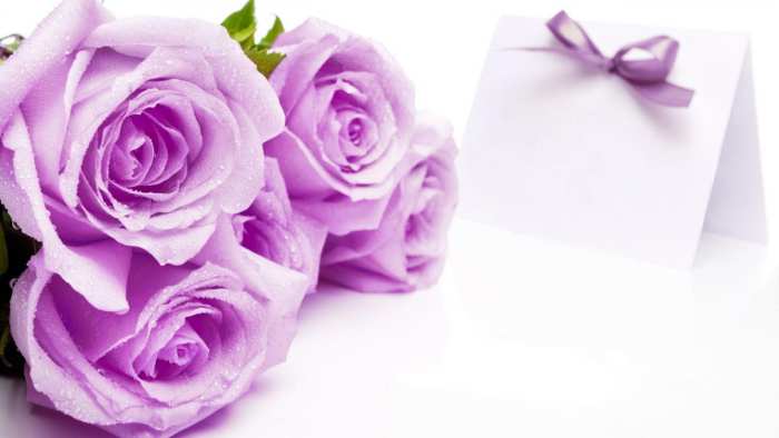 Wedding Rose Flower Marriage Background Free Download