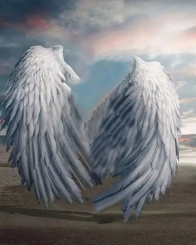 White Angle Wings Picsart Background HD Download