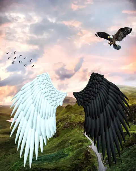 White Black Wings Photo Editing Background Full HD Download