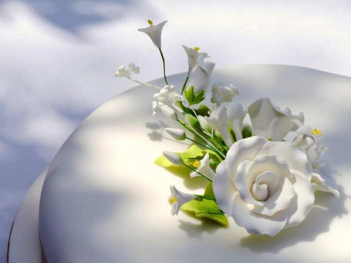 White Flower Wedding Marriage Background Free Download