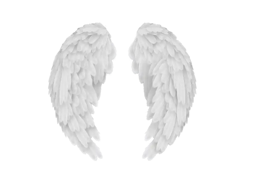 White Front Wings PNG Images Download