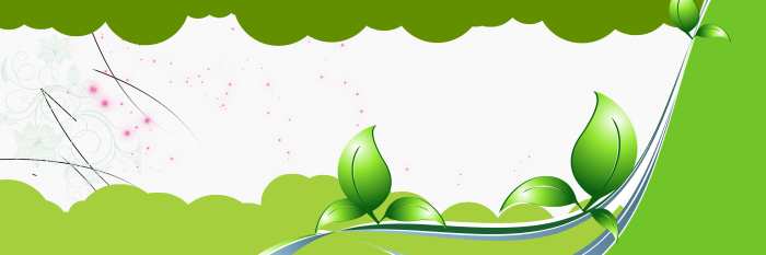 White Green  Wedding Album Backgrounds HD Wallpapers