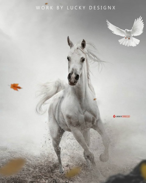 White Horse Photo Editing Background