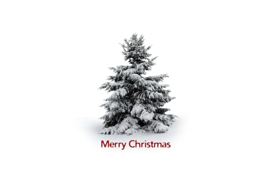 White Merry Christmas Tree HD Background Wallpaper