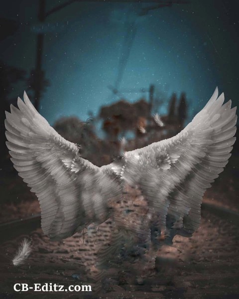 White Wing Picsart CB Background