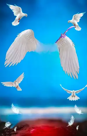 White Wings Editing Background HD Download