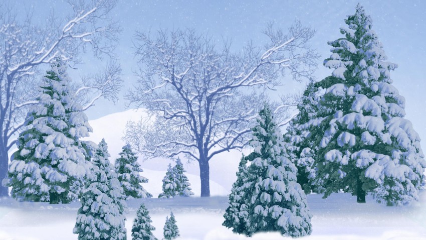 White Winter Tree Background HD Donwload