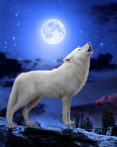 White Wolf PicsArt Editing Background HD Download