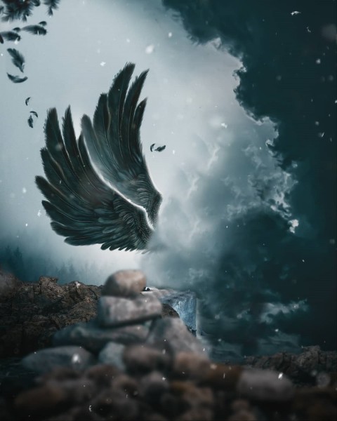 Wings NeW Hd Picsart Background (HD