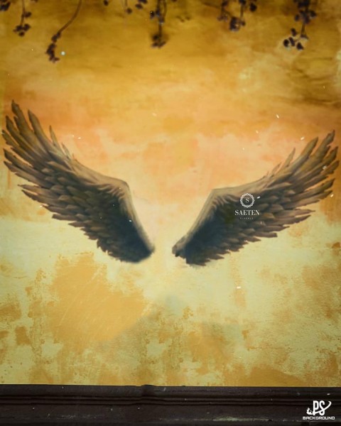 Wings CB Background Download