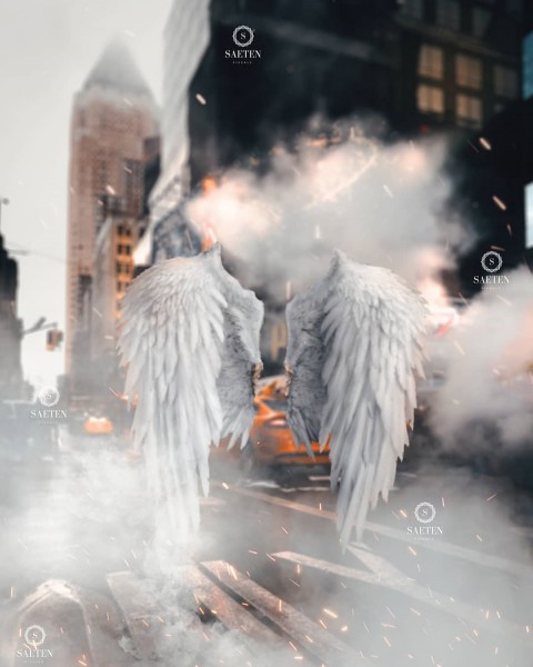 Wings Picsart Editing  Background