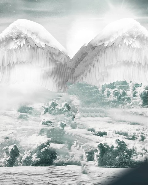 wINGS PicsArt Editing HD Background