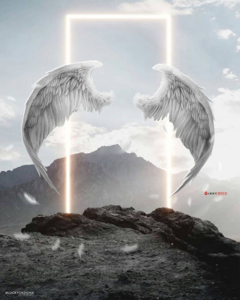 Wings PicsArt Photo Editing Background