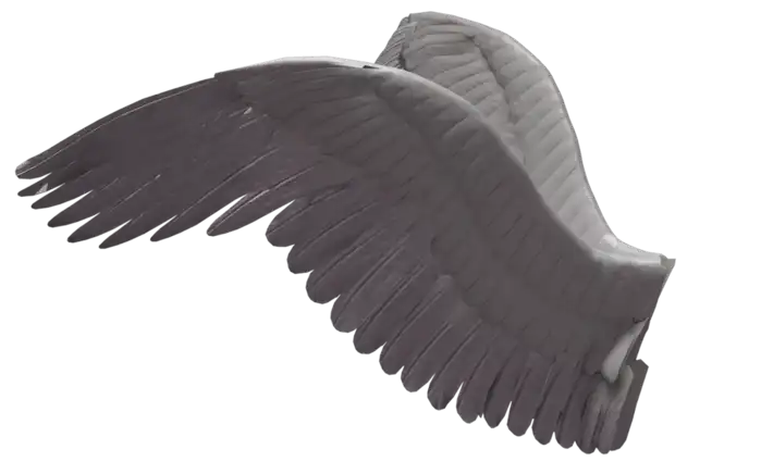 Wings PNG Images Download