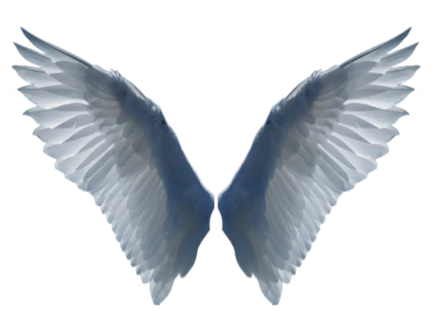 Wings White Full HD Background PNG Images Download