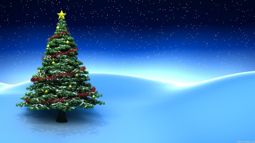 Winter Christmas Tree Background HD Download