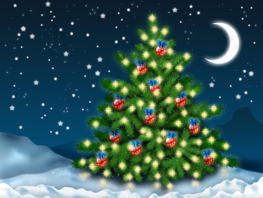 Winter Christmas Tree Background HD Download