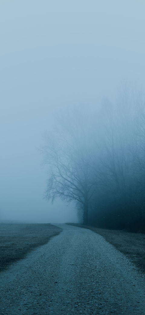 Winter Fog Road Background Full HD Download Free