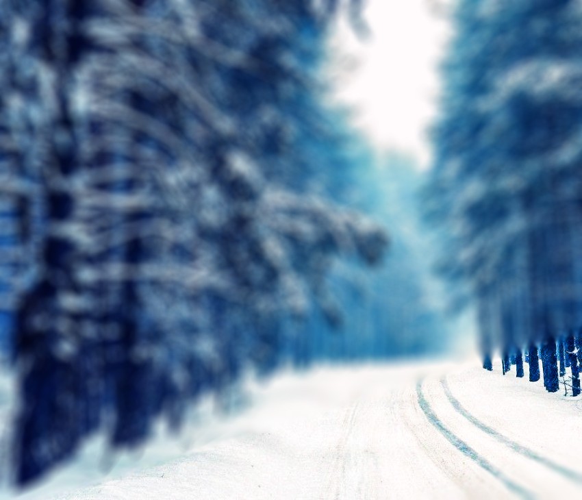 Winter Forest Editing CB Picsart Background HD Download