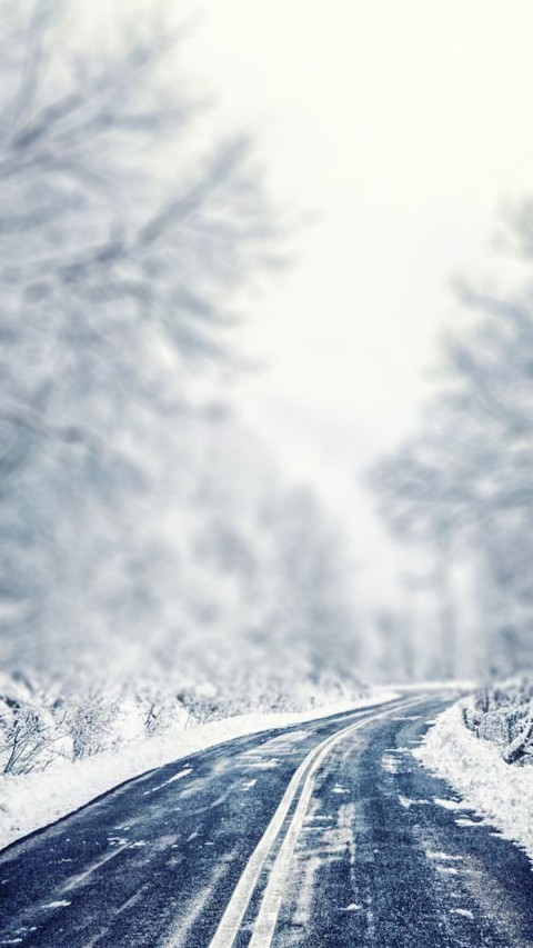 Winter Forest Highway Road CB Picsart Background HD