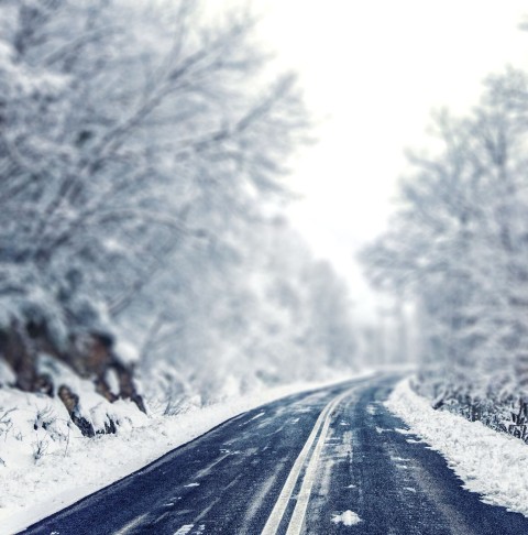 Winter Forest Highway Road CB Picsart Background HD