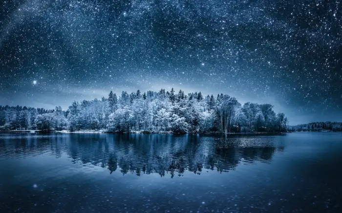 Winter Forest Night Sky Background HD Wallpaper Free